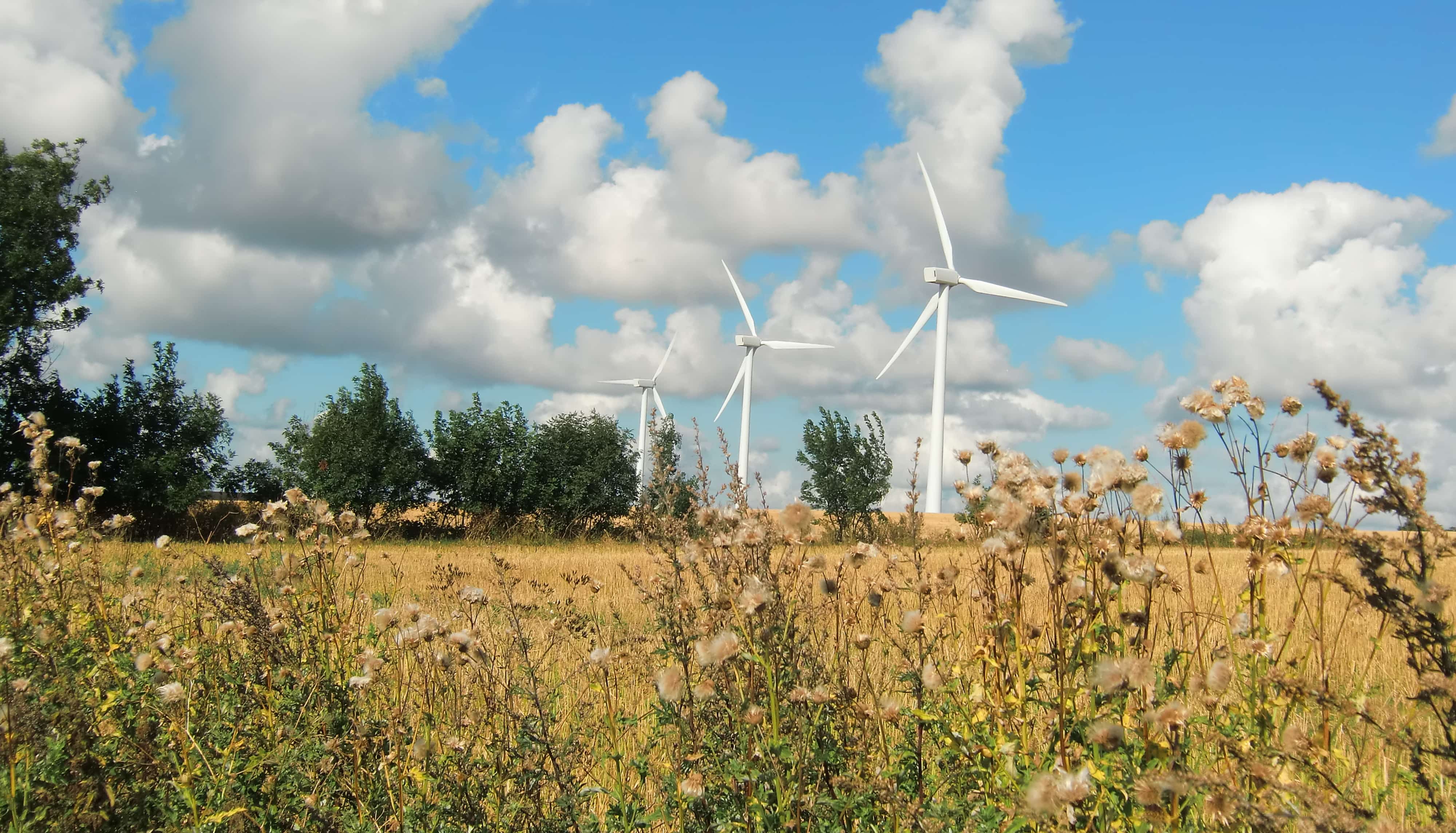 Bis 2025 möchte Bornholm CO2-neutral werden - ohne neue Windräder.